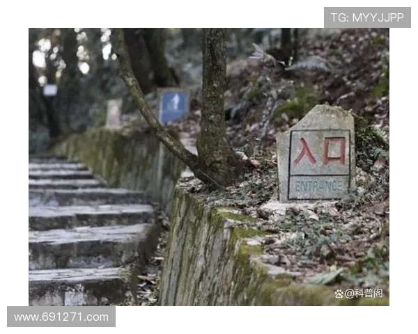 9个让你细思极恐的细节，云南虫谷的恐怖才刚刚开始